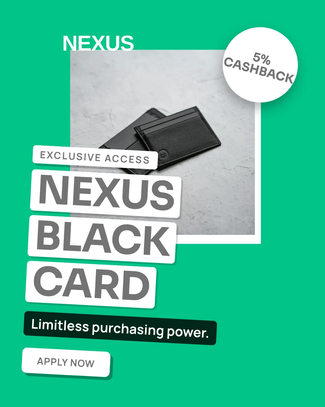 Fintech Instagram Portrait Logo Card Ad Example