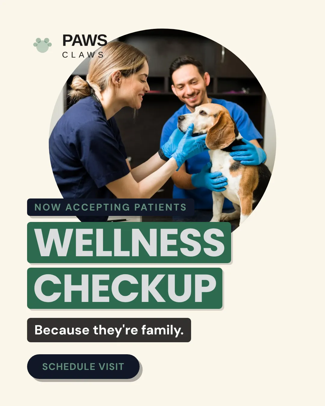 Veterinary Ad Examples - 4:5 format