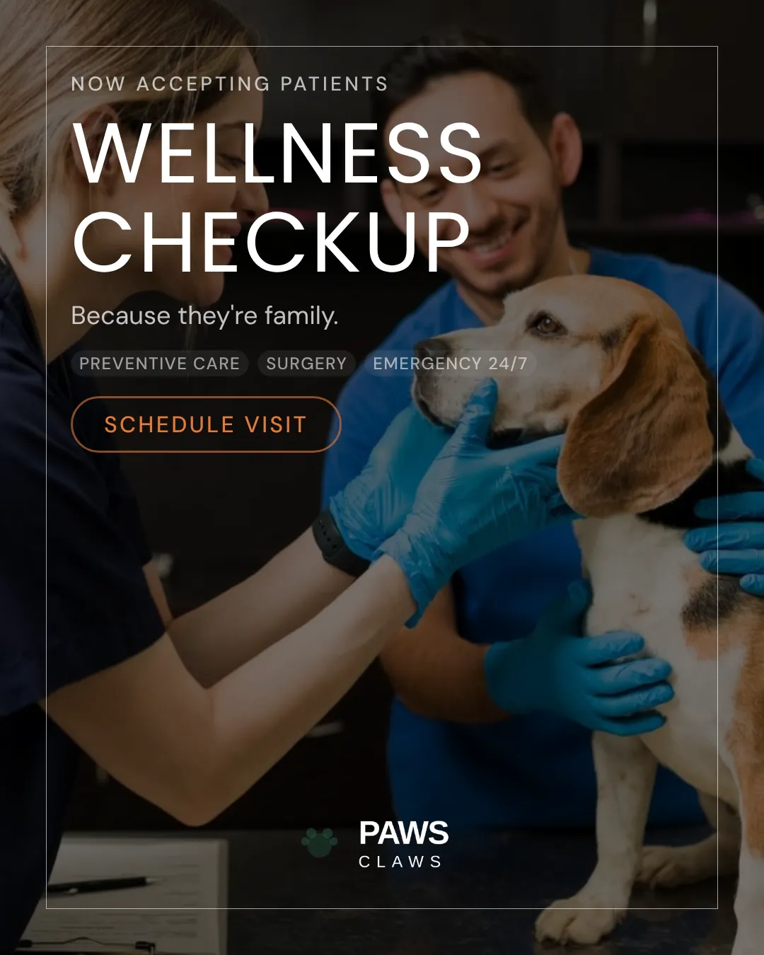 Veterinary Ad Examples - 4:5 format