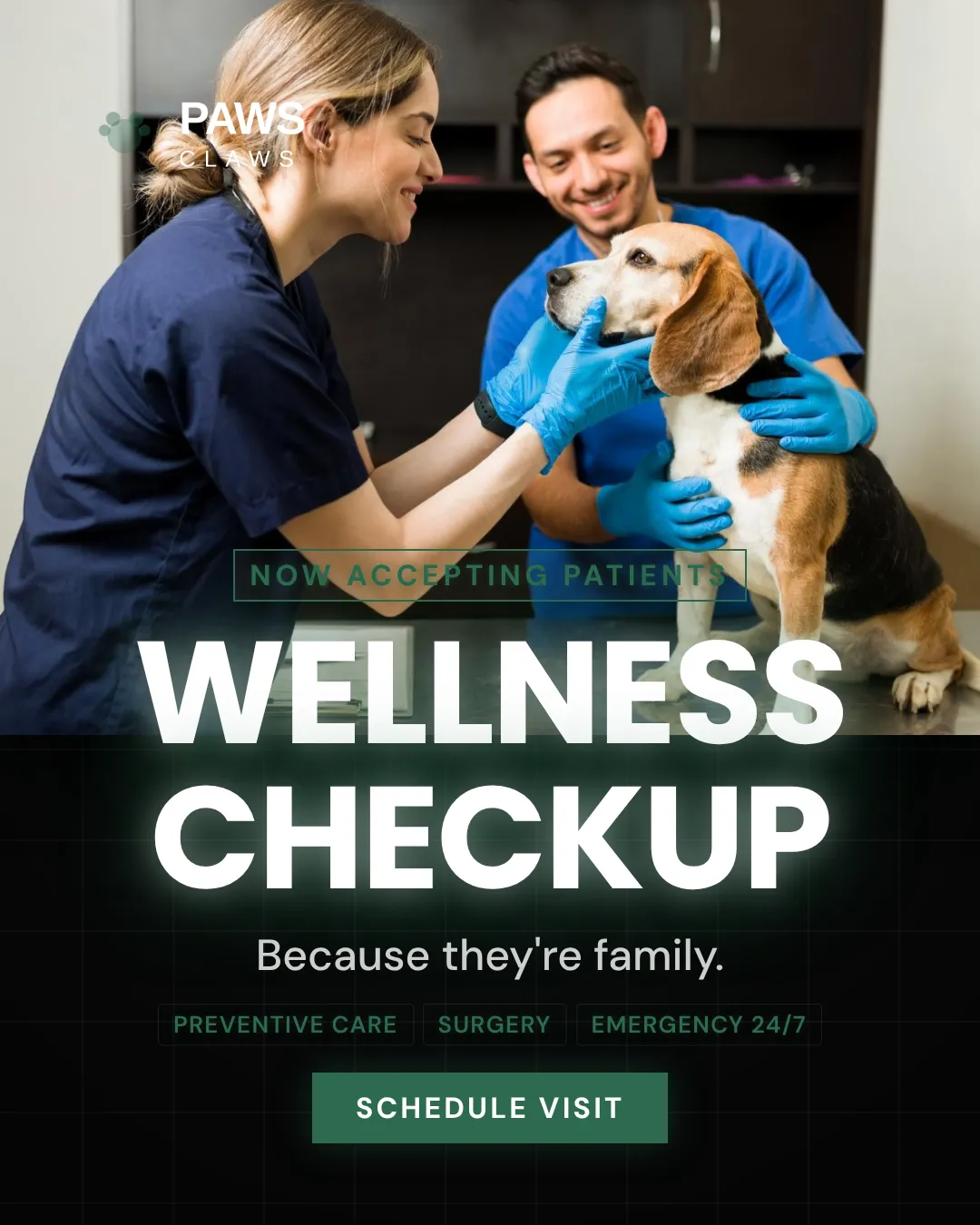 Veterinary Ad Examples - 4:5 format