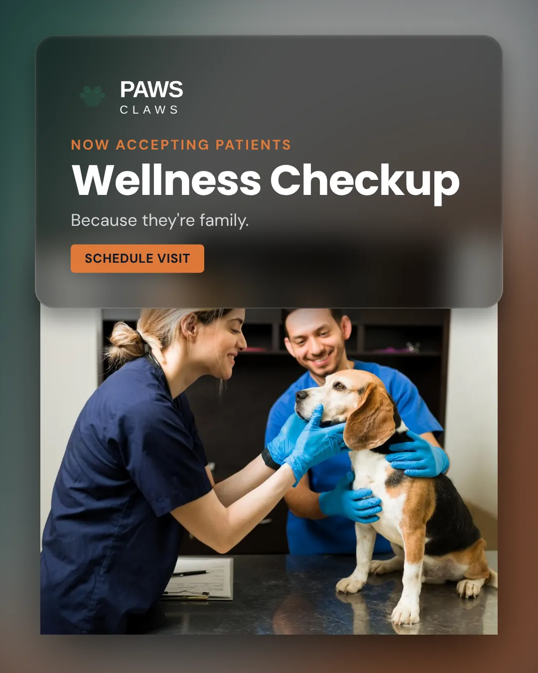Veterinary Ad Examples - 4:5 format