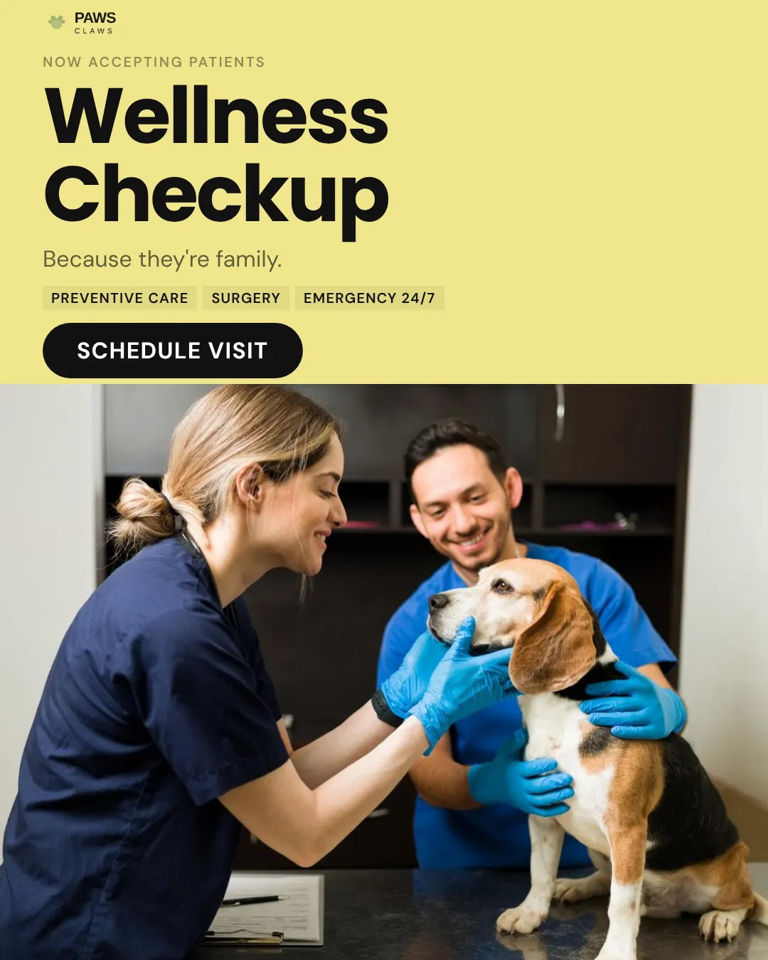 Veterinary Instagram Portrait Straight Split Ad Example